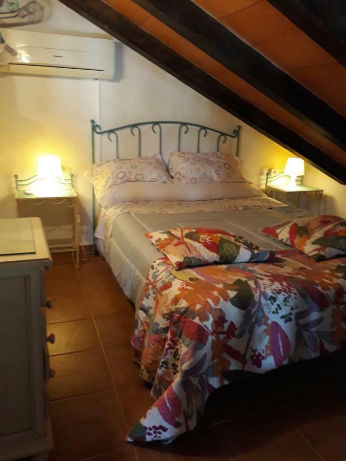 Chalet La Huerta Con Piscina Y Wifi Conil De La Frontera Ngoại thất bức ảnh